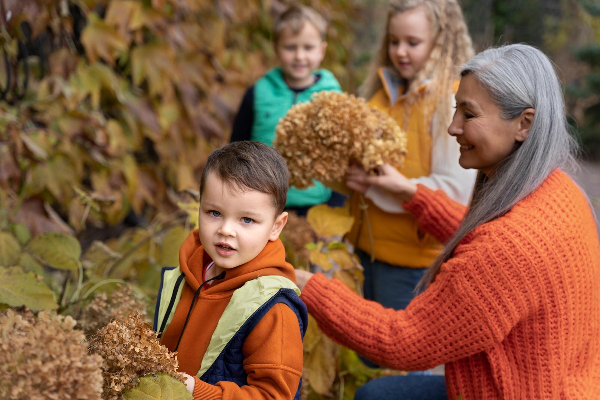 Wir sind offiziell ein eingetragener Verein – Willkommen bei Cocoon Jugend und Familienhilfe e.V.!